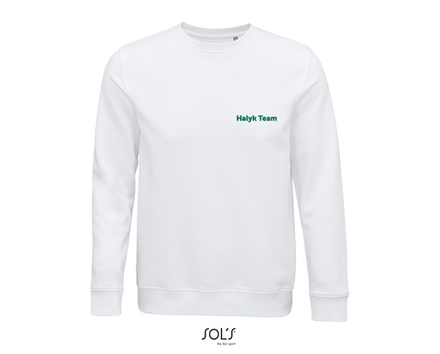 Свитшот Halyk Team COMET