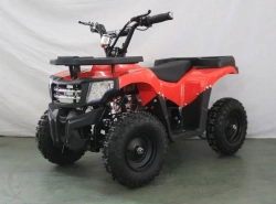 Электроквадроцикл Green Camel Гоби K24 (36V 800W R6 Цепь)