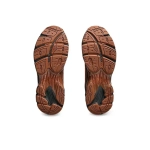 Кроссовки ASICS GT-2160 NS 'Rusty Brown' 1203A375-200