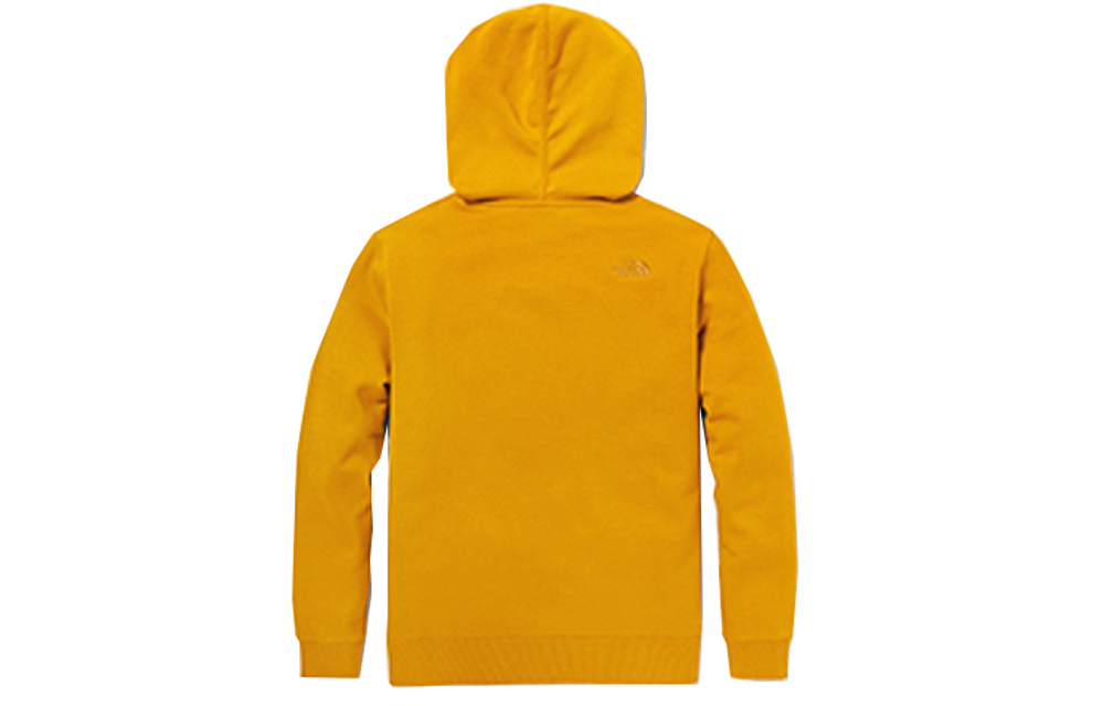 Худи THE NORTH FACE Logo, NF0A5AYY-H9D