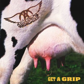 Aerosmith / Get A Grip (Coloured Vinyl)(2LP)