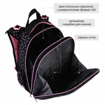 Ранец, спинка эргономичная, 2 отделения, 37*29*17 см, ERGO First, Котик, КОКОС, 230352