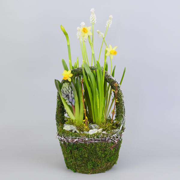 Композиция с первоцветами Лесная корзина M