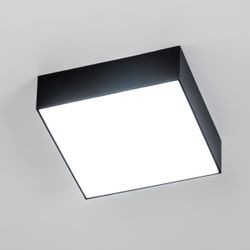 Citilux Тао CL712X122N LED Светильник потолочный с диммером Чёрный