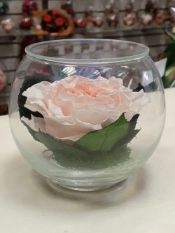 натуральный пион в стекле, вакуум*