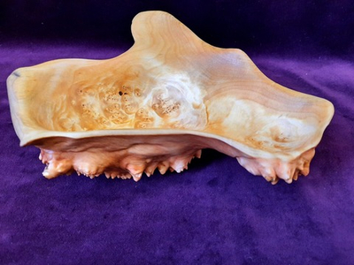 Тарелочка, кап березы