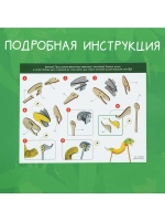 Деревянный конструктор «Змейка с гармошкой», 12 деталей, рос
