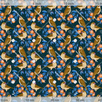 Птицы и мандарины by Lena_kovart 652 DPI