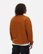 Толстовка Anteater Crewneck BigLogo терракотовая