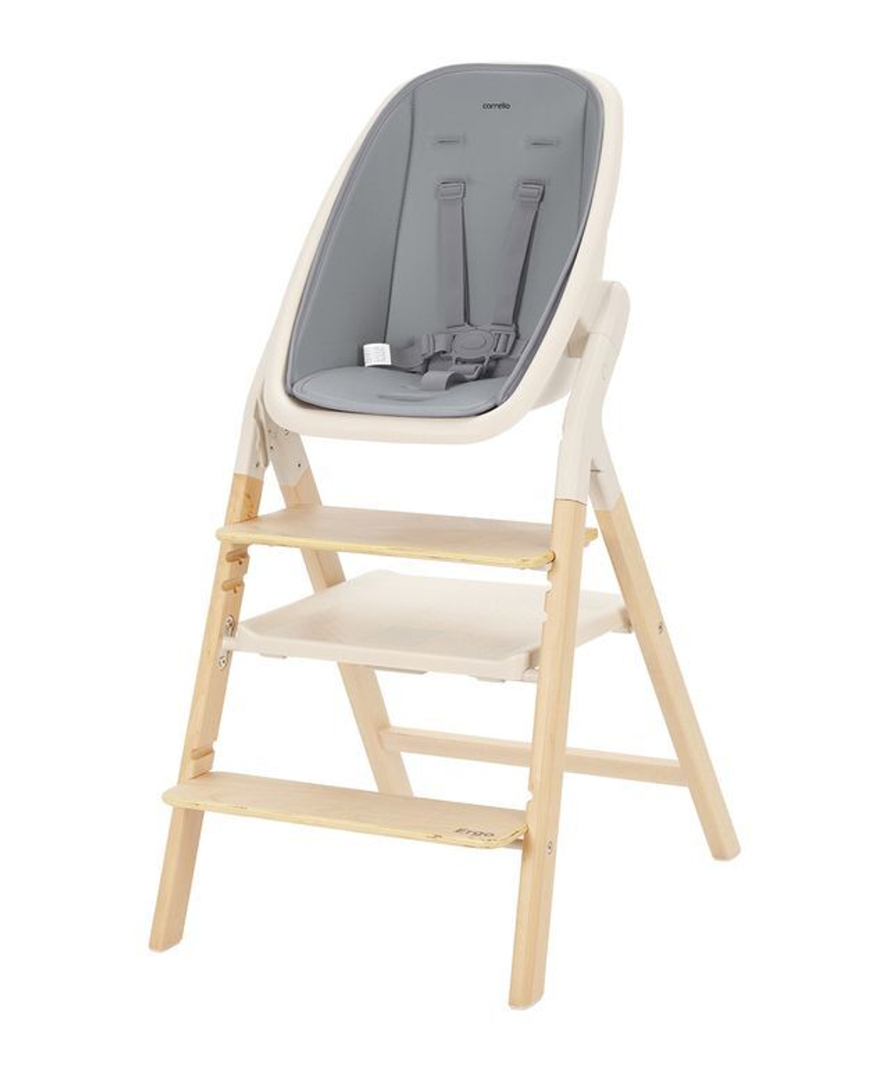 Carrello Ergo 4 в 1 (стульчик для кормления, шезлонг, приставной стул и обучающая башня) серый