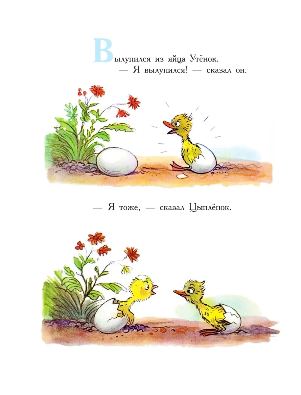Сказки Сутеева в картинках