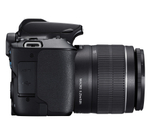 Зеркальный фотоаппарат Canon EOS 250D Kit 18-55mm IS STM черный