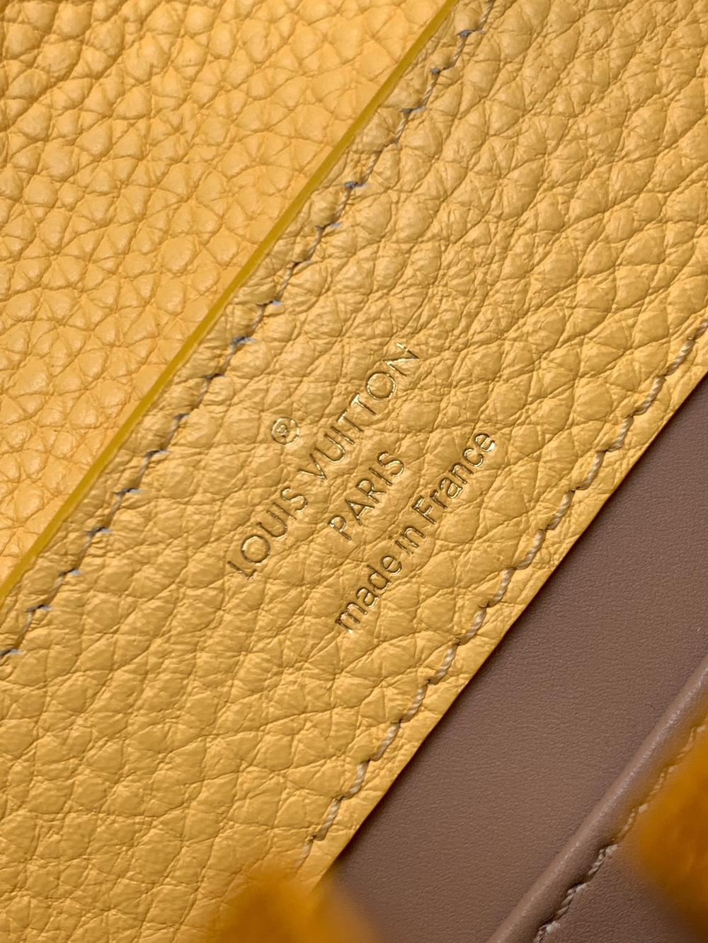 Louis Vuitton Capucines Mini