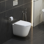 Унитаз BelBagno Flay-Tor BB053CH-TOR-FC подвесной без сиденья