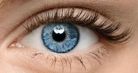 Прибор для демонстрации действия глаза (Модель "Зрение")