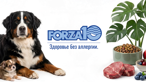 Forza10: итальянский ответ аллергии. Forza10: итальянский ответ аллергии.