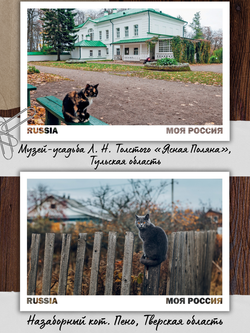 Моя Россия. Коты