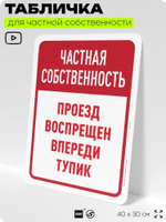 Табличка для частной территории "Частная собственность, впереди тупик", на дом, для участка, организаций, предупреждающая, 40х30 см, Silver Plane x Айдентика Технолоджи