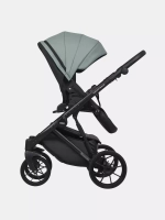 Коляска MONTANA ECCO (2 в 1) (RIKO BASIC)