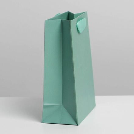 Пакет подарочный ламинированный, упаковка, «Тиффани», S 12 х 15 х 5.5 см