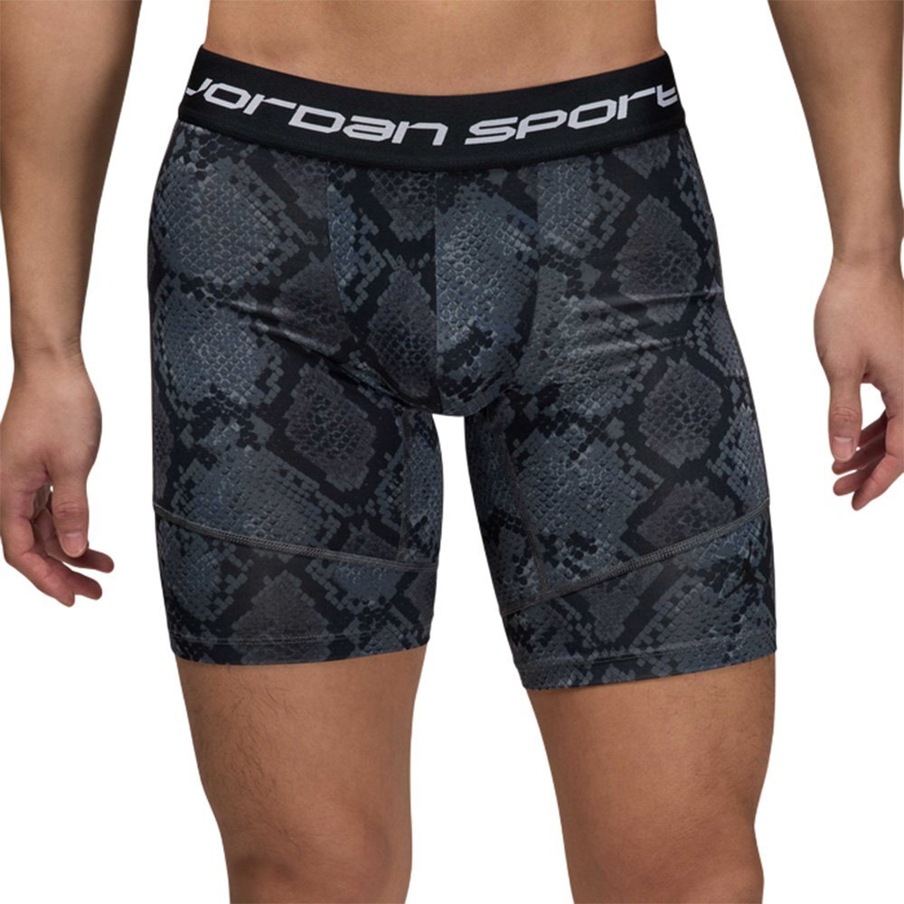 Шорты Jordan Sport Dri-FIT Shorts Gray