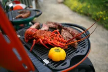 Портативный газовый гриль O-Grill 700T (синий), 1 горелка