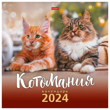 Календарь настенный перекидной на 2024 г., 6 л., 30х30 см, Эконом, "КотоМания"
