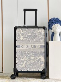 Christian Dior Suitcase