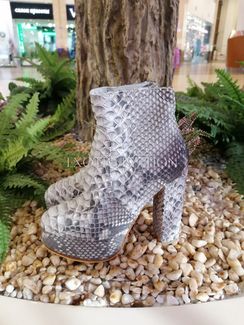 Ботильоны из кожи питона SH-171