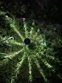 Уличные светильники на солнечных батареях для дачи и сада, фонарики свет холодный белый комплект из 6 шт.