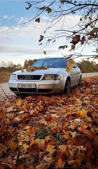 Передние фары Audi A6 C5 angel eyes black