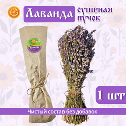 Лаванда пучок.