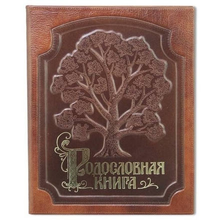 Альбом-книга Родословная "Изысканная" бордовая, в обложке из натуральной кожи