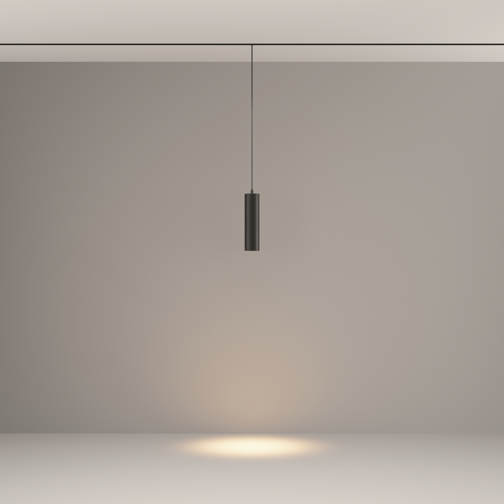 Трековый подвесной светильник Technical TR041-2-12W3K-B