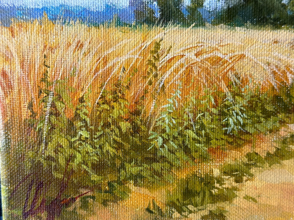 Трошина Елена Сергеевна (род. 1990). В поле. Холст, масло. Россия 2019.