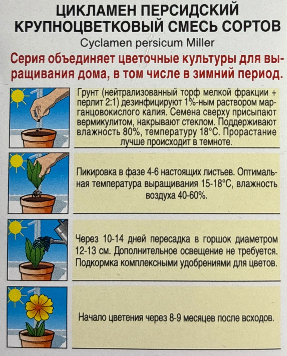 Цикламен Крупноцветковый, смесь сортов СМЦ-365