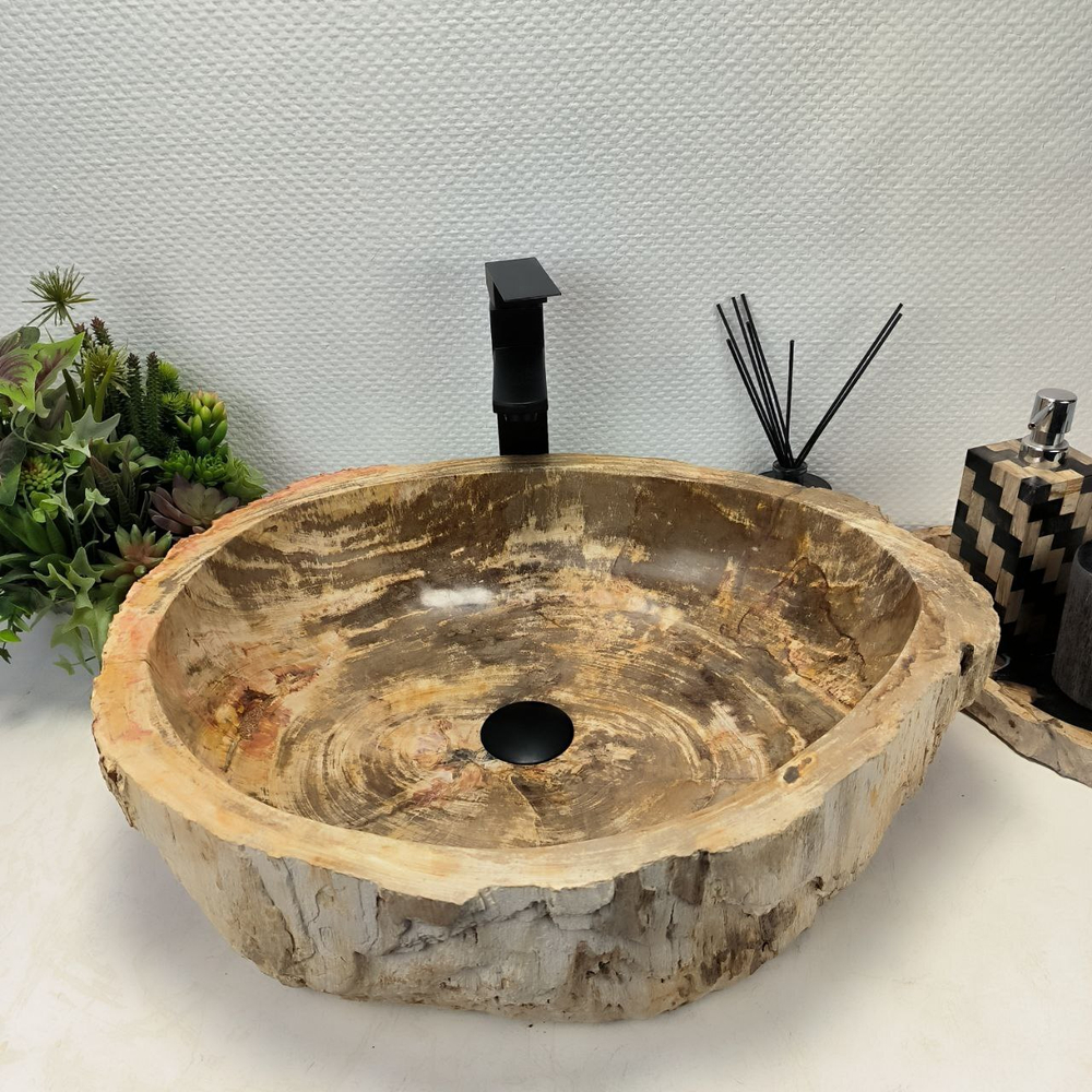 Раковина из окаменелого дерева OD-62394 57*47*14