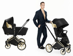 Коляска 2 в 1 Cybex Priam IV 2 в 1 Jeremy Scott Wings