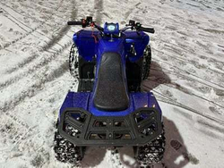 Квадроцикл SHARMAX Cross 180 RX