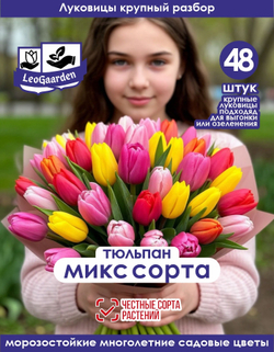 Тюльпан Луковицы крупные, Микс сортов, 48шт