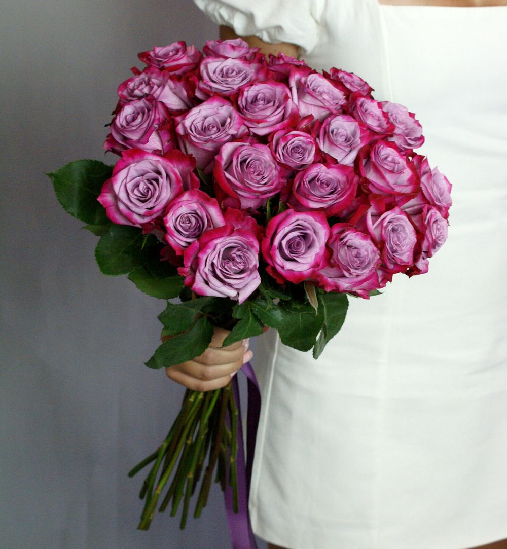 Розы фиолетовые Эквадор 25 штук, "Дип Пёрпл" 49 см под ленту