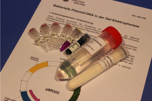 PHYWE Бактериальная плазмидная ДНК