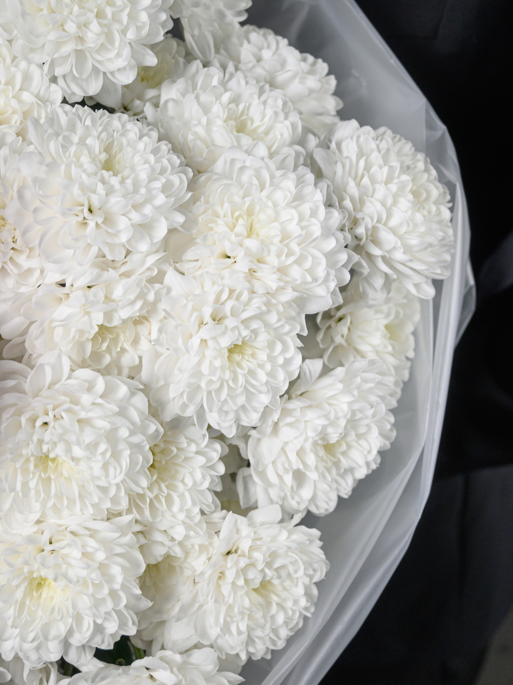 Облако любви 11