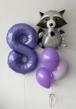 Воздушные шары №6074