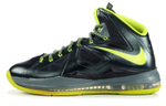 Кроссовки Nike Lebron 10 Dunkman