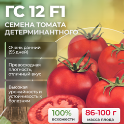 ГС 12 F1 семена томата (Syngenta | Alexagro)