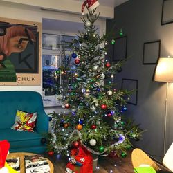 Живая елка русская