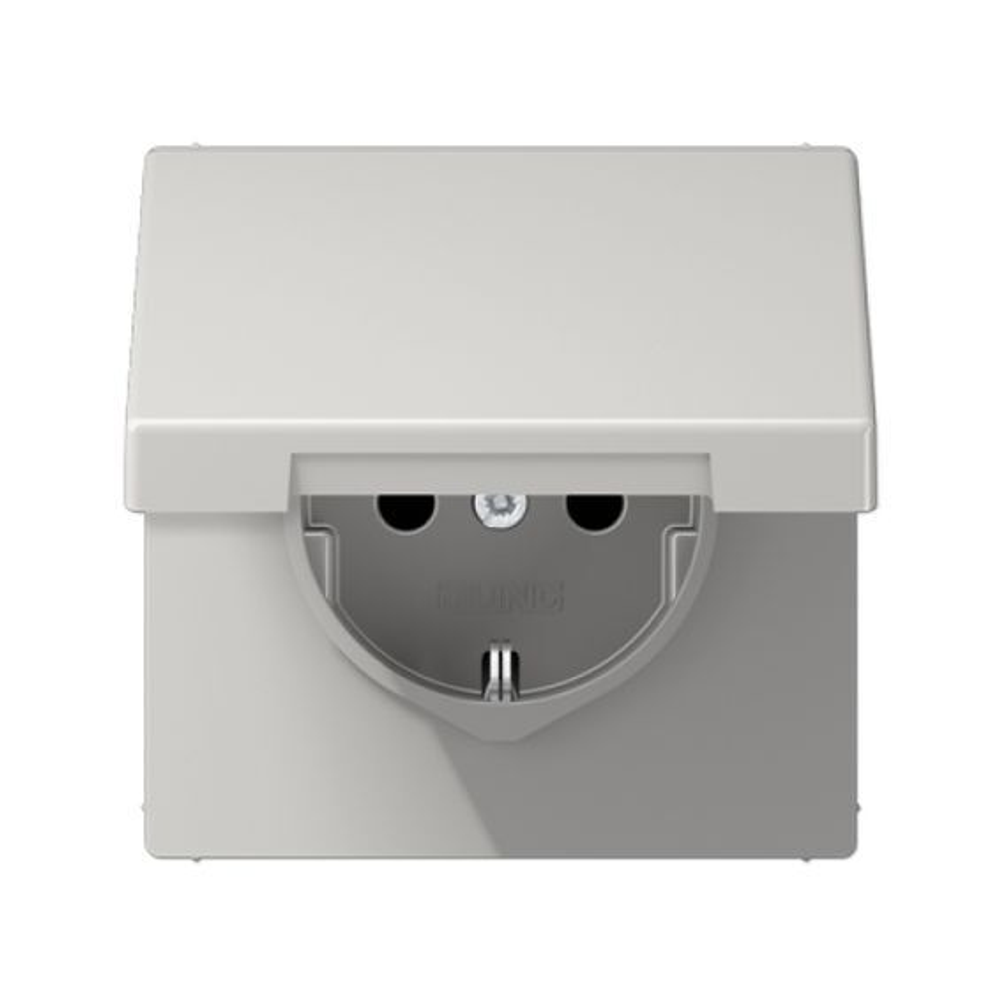 Розетка  Jung LS1520KLLG