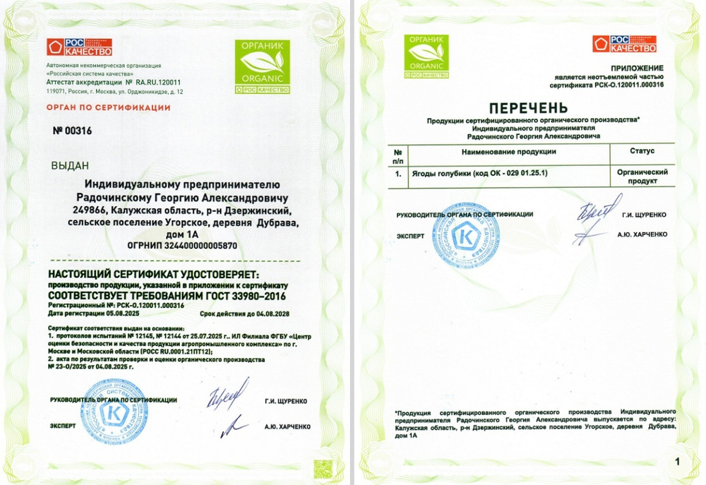Голубика отборная Органик