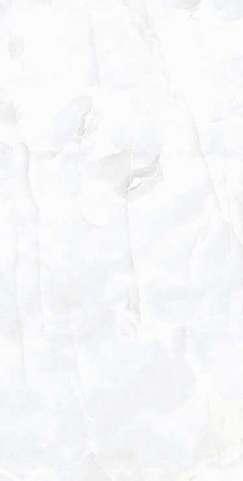 COIN WHITE 600*1200 керамогранит полированный